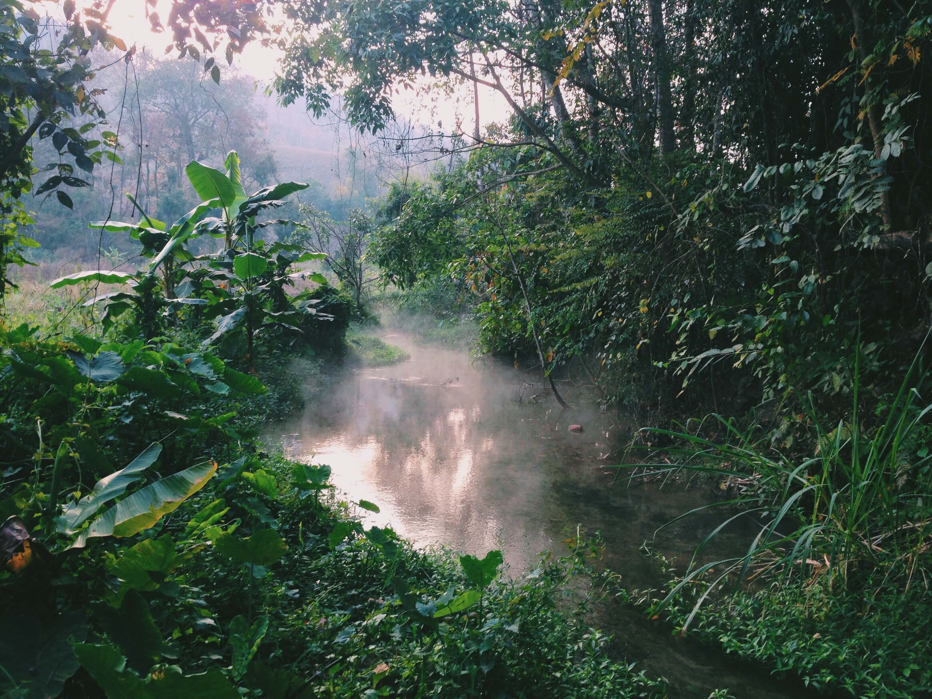 Sai Ngam Hot Springs (Secret Hot Springs) - Things To Do In Pai