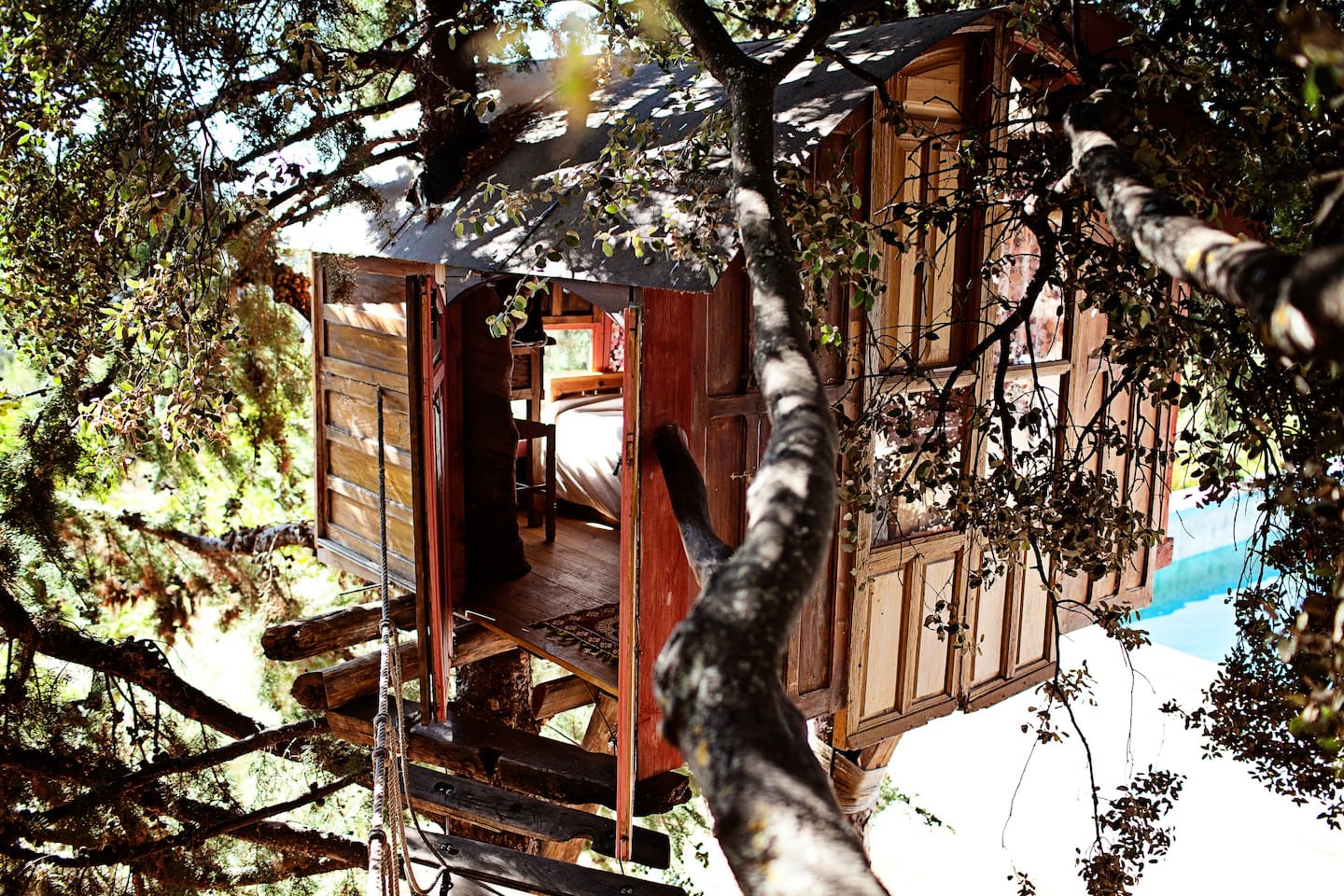 Treehouse In A National Park - Airbnb Beginners Guide