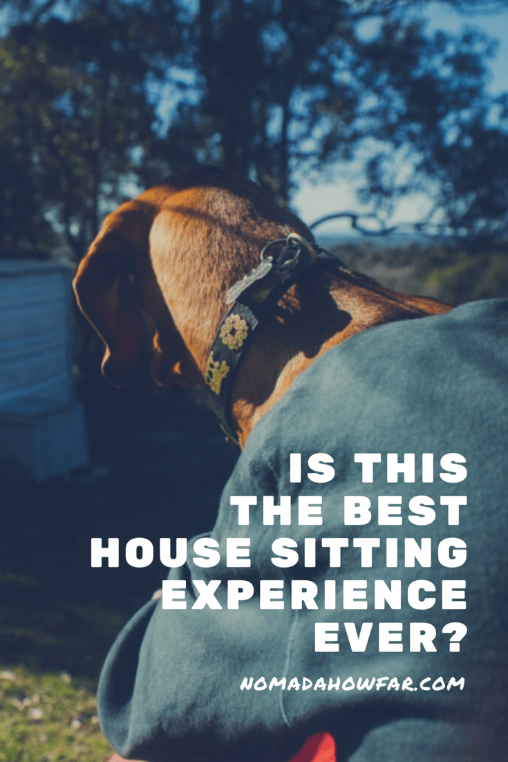 Is This The Best House Sitting Experience Ever?